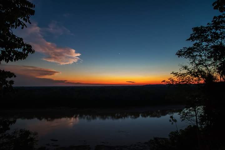 Tambopata Ayahuasca